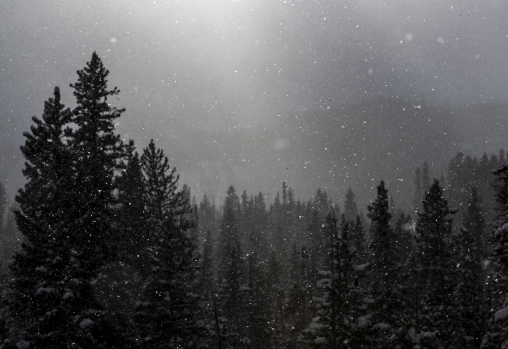 Into the white room